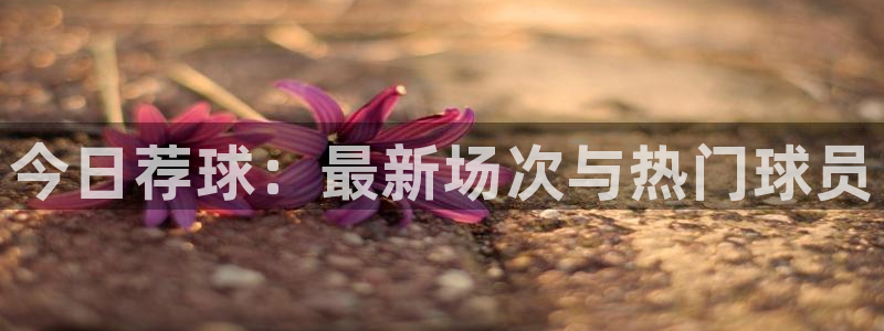 今日荐球：最新场次与热门球员