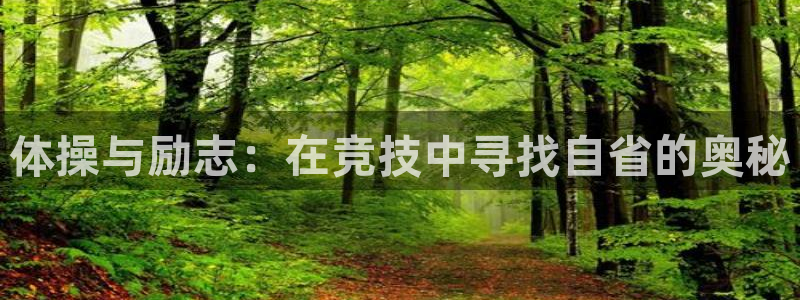 体操与励志：在竞技中寻找自省的奥秘