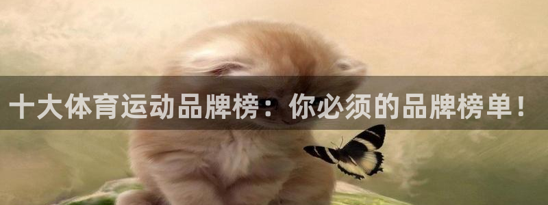 十大体育运动品牌榜：你必须的品牌榜单！