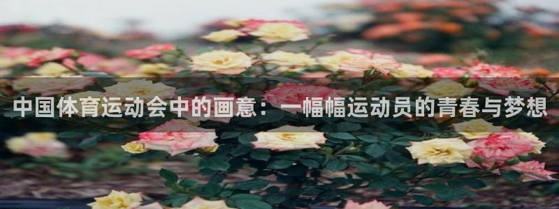 中国体育运动会中的画意：一幅幅运动员的青春与梦想